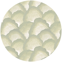 Wave Scales - Blush Wallpaper