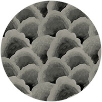 Wave Scales - Blush Wallpaper