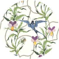 Tangled Flight - Seafoam Black Wallpaper