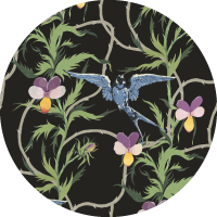Tangled Flight - Seafoam Black Wallpaper