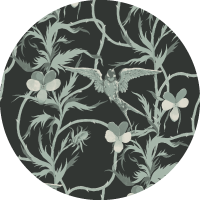 Tangled Flight - Seafoam Black Wallpaper