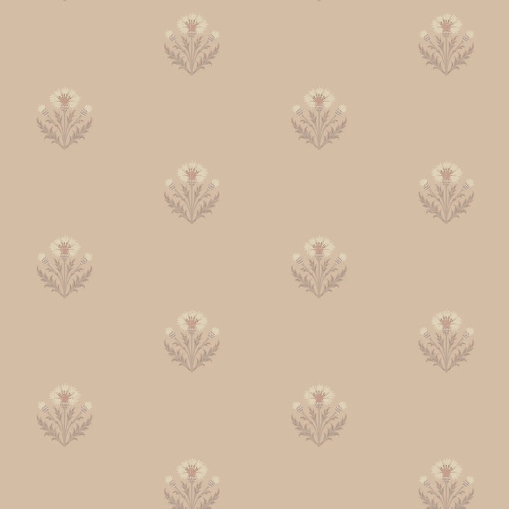 Cornflower - Apricot Wallpaper