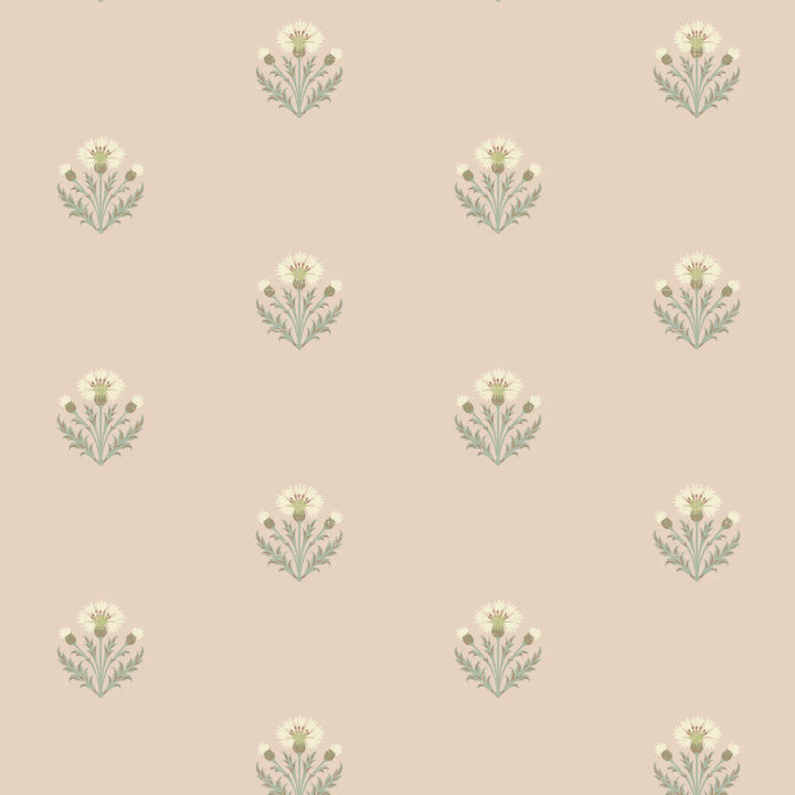 Cornflower - Blush Wallpaper