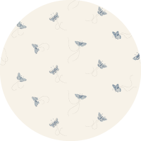 Flutter - Sunrise Wallpaper