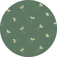 Flutter - Sunrise Wallpaper