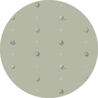 Planetarium - Sage Wallpaper