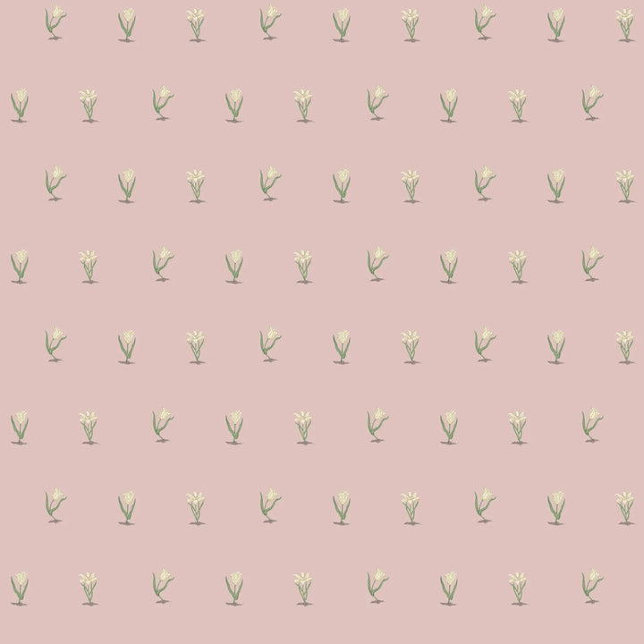 Posy - Sunbleached Pink Wallpaper