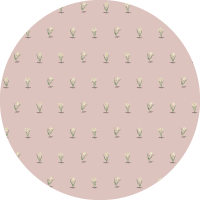 Posy - Dusty Blush Wallpaper