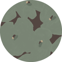 Pressed Poppies - Merlot Mint Wallpaper
