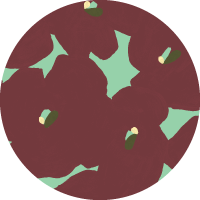 Pressed Poppies - Merlot Mint Wallpaper