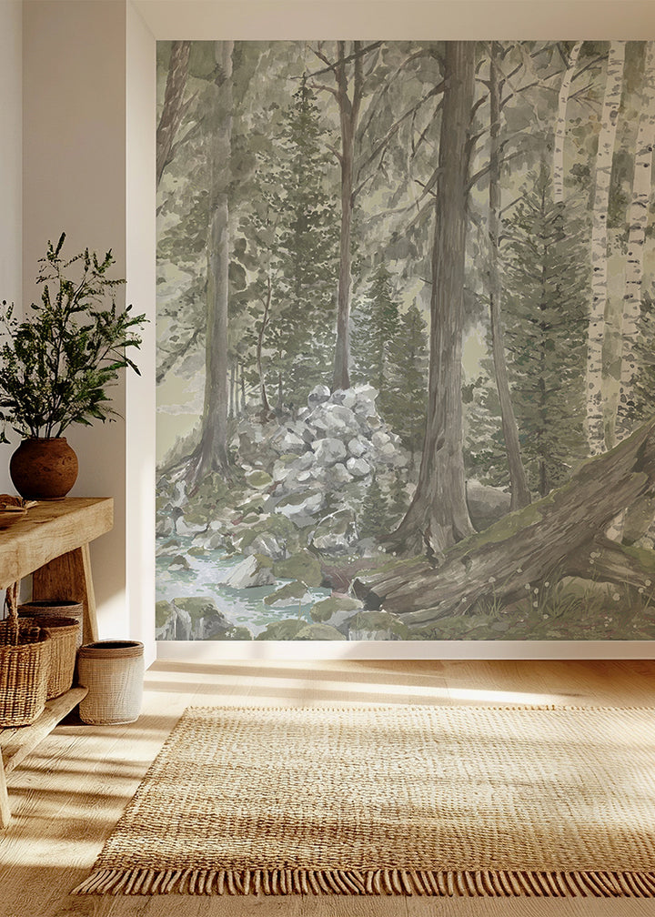 Rocky Mountain Forest Wall Mural - Morning Fog