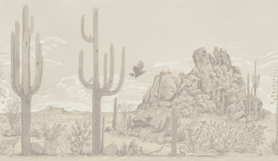 Sonoran Desert Wall Mural - Dusk