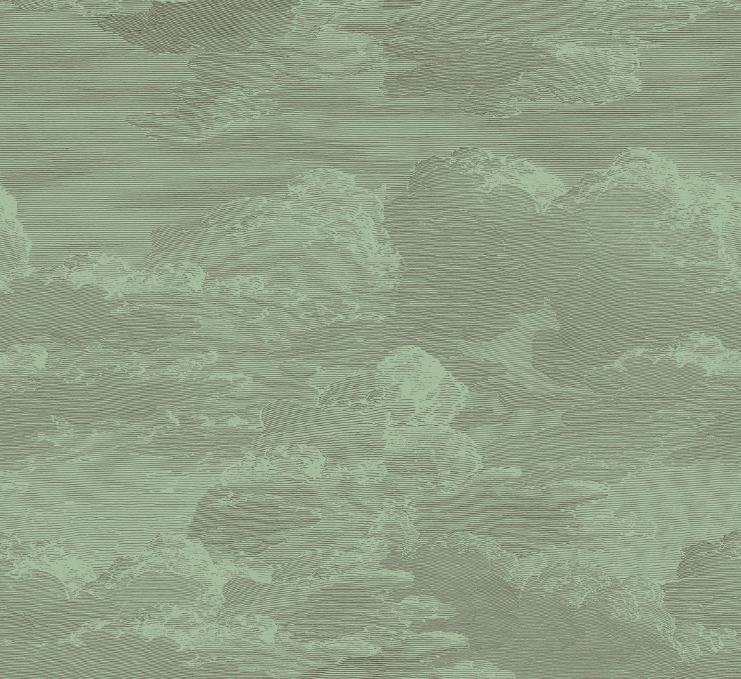Open Sky Wall Mural - Jade