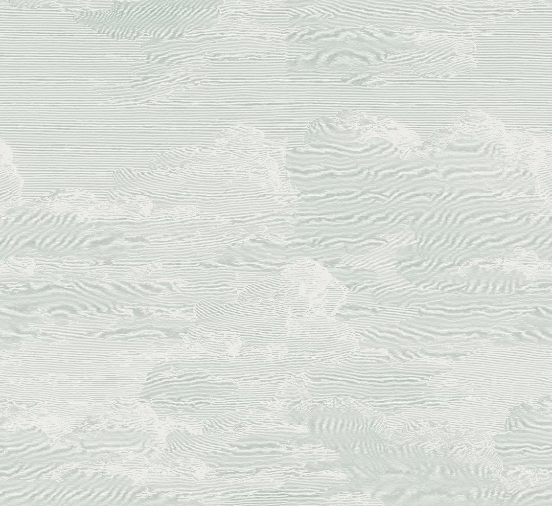 Open Sky Wall Mural - Mint