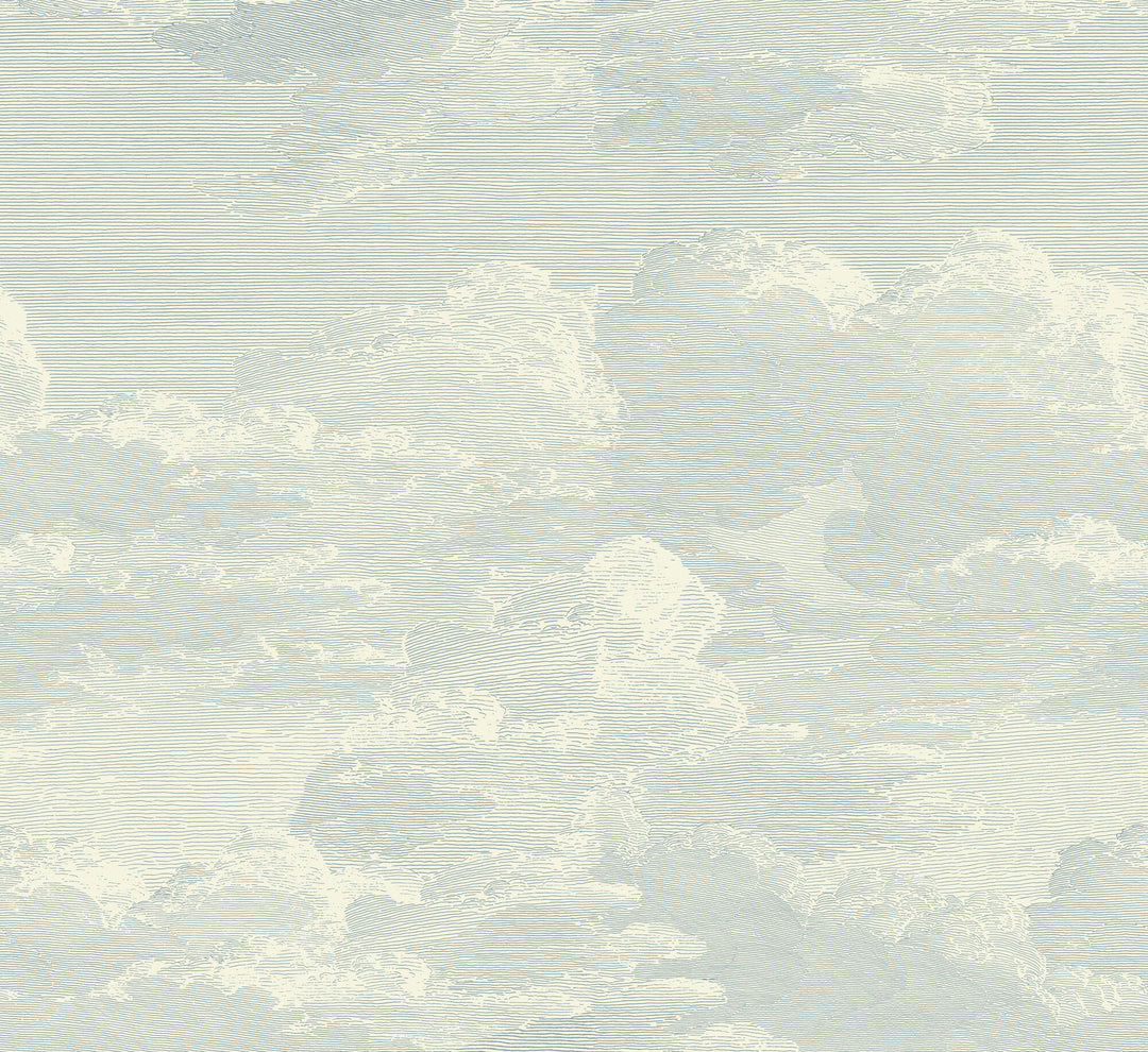 Open Sky Wall Mural - Pale Mineral Blue