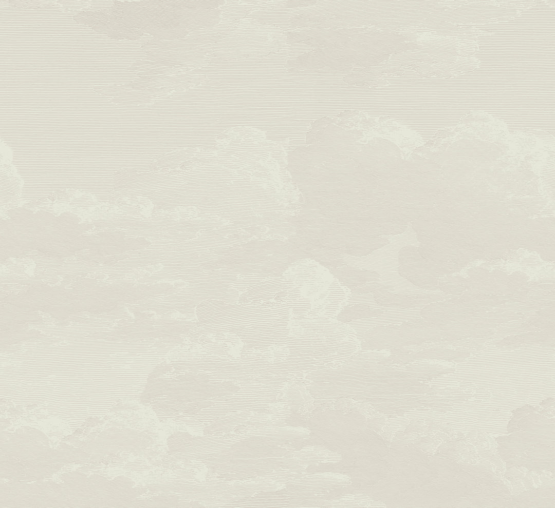Open Sky Wall Mural - Shell Tint