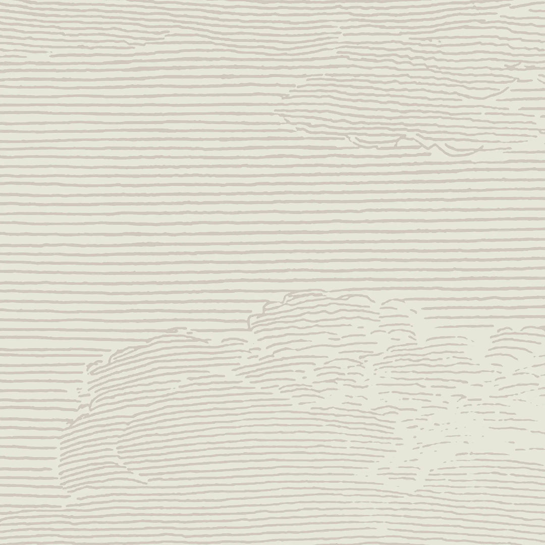 Open Sky Wall Mural - Shell Tint