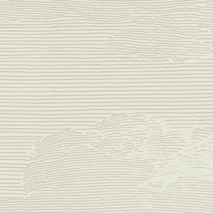 Open Sky Wall Mural - Shell Tint
