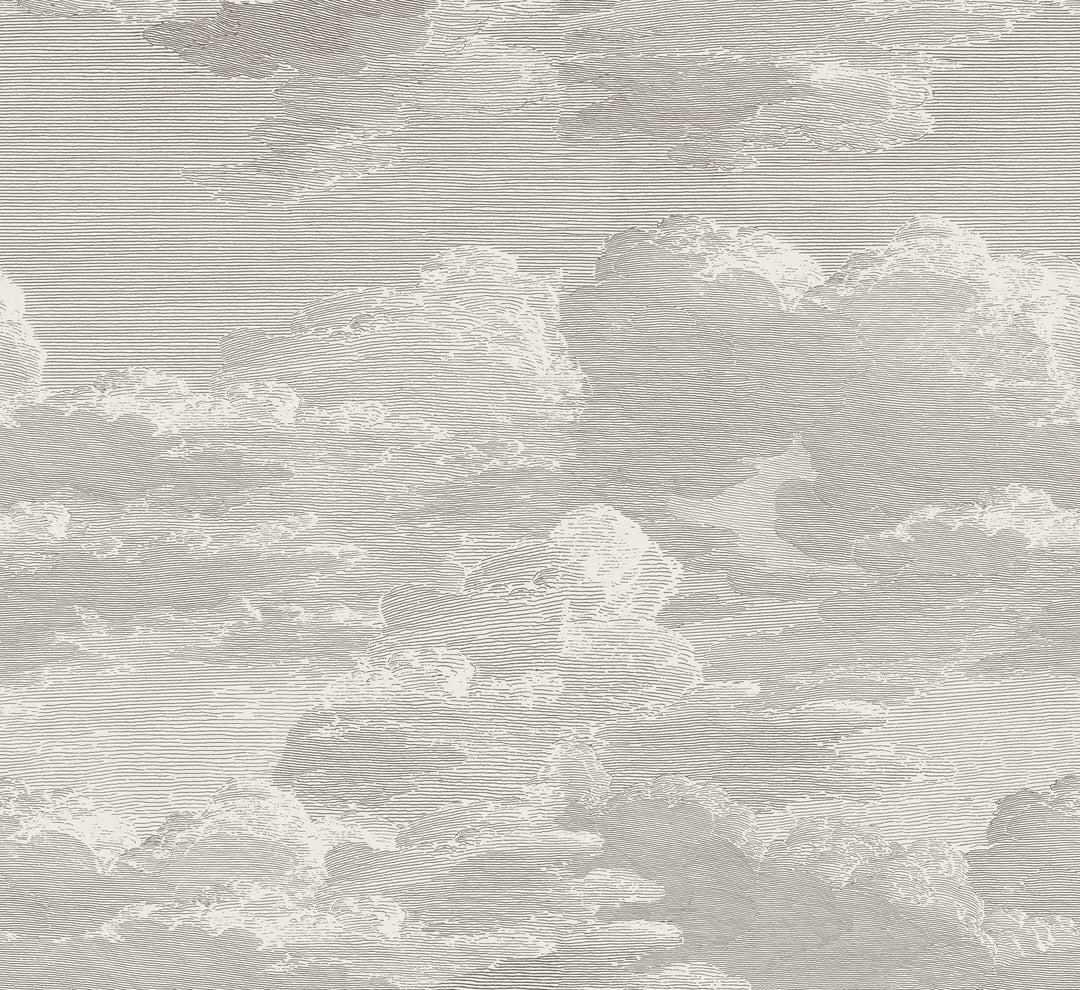 Open Sky Wall Mural - Slate Grey