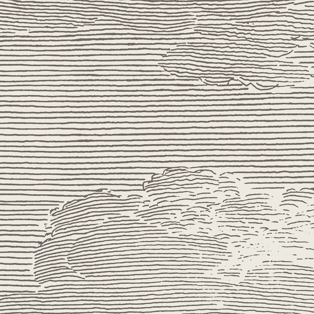 Open Sky Wall Mural - Slate Grey