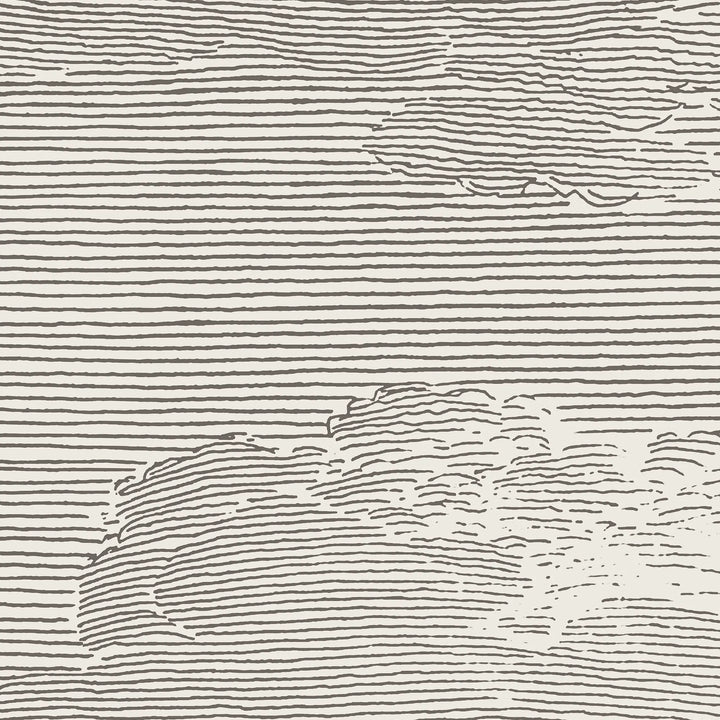 Open Sky Wall Mural - Slate Grey