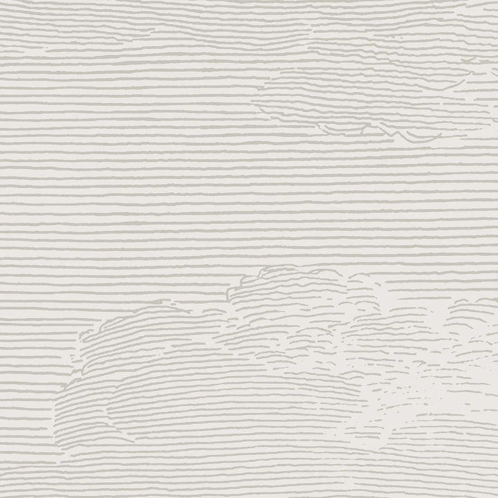 Open Sky Wall Mural - Soft White
