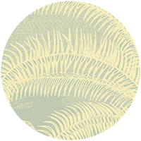 Under the Palms Wall Mural - Areca Green