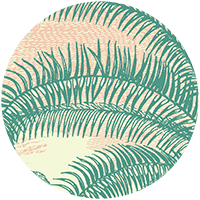 Under the Palms Wall Mural - Areca Green