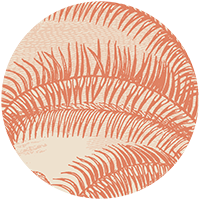 Under the Palms Wall Mural - Areca Green