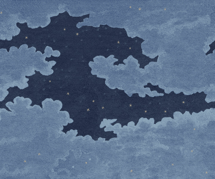 Starry Night Wall Mural - Deep Blue