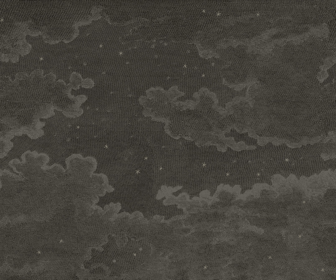 Starry Night Wall Mural - Deep Space Black