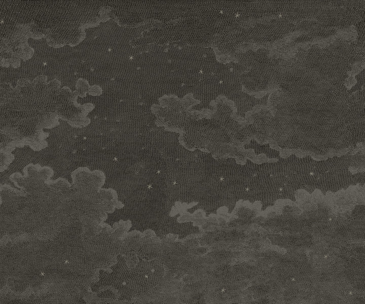 Starry Night Wall Mural - Deep Space Black