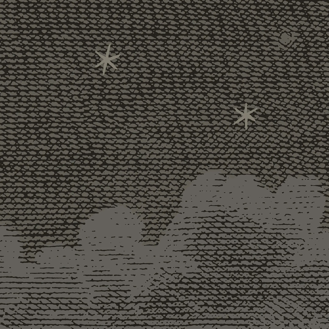 Starry Night Wall Mural - Deep Space Black