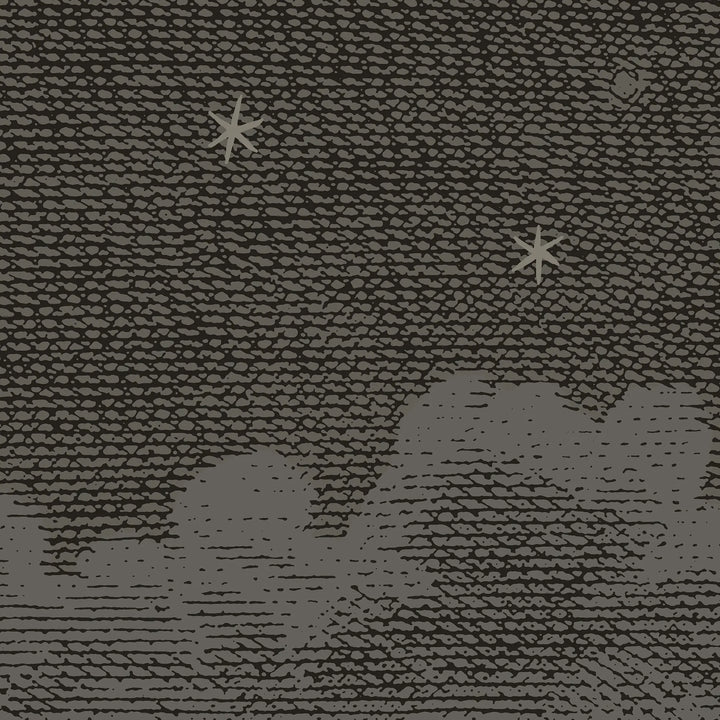 Starry Night Wall Mural - Deep Space Black