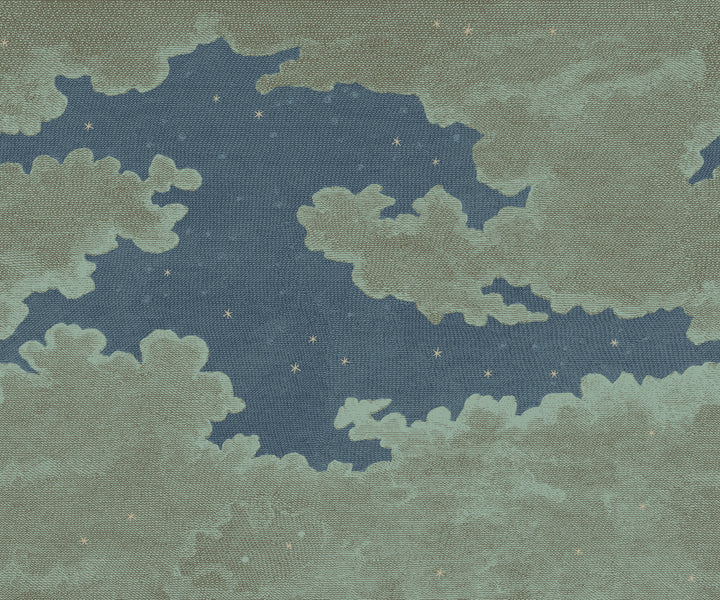 Starry Night Wall Mural - Full Moon Blues