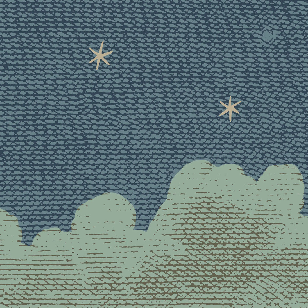 Starry Night Wall Mural - Full Moon Blues