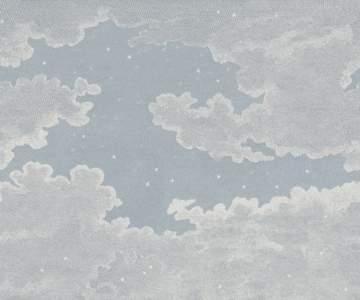 Starry Night Wall Mural - Overcast Blue