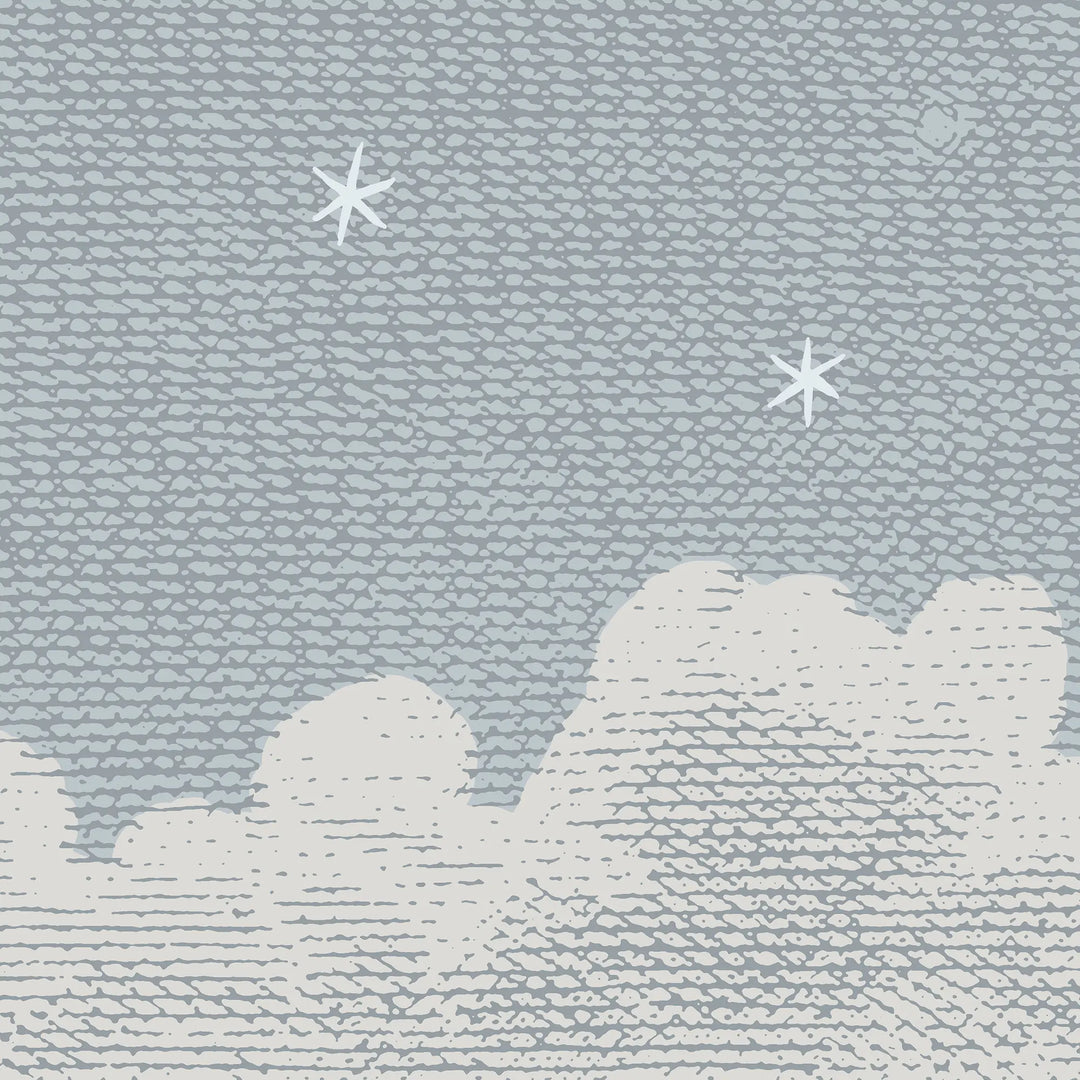 Starry Night Wall Mural - Overcast Blue