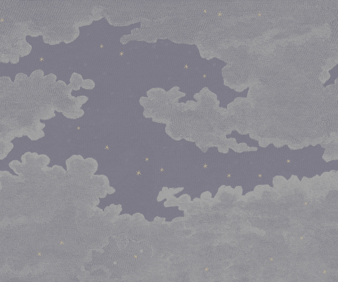 Starry Night Wall Mural - Plum