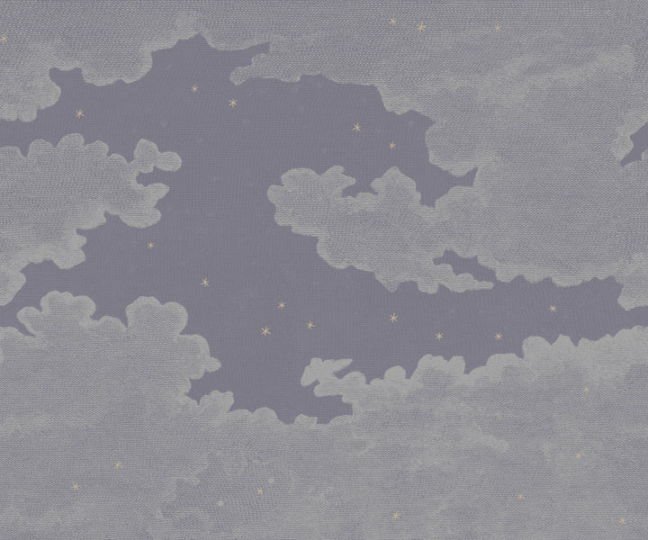 Starry Night Wall Mural - Plum