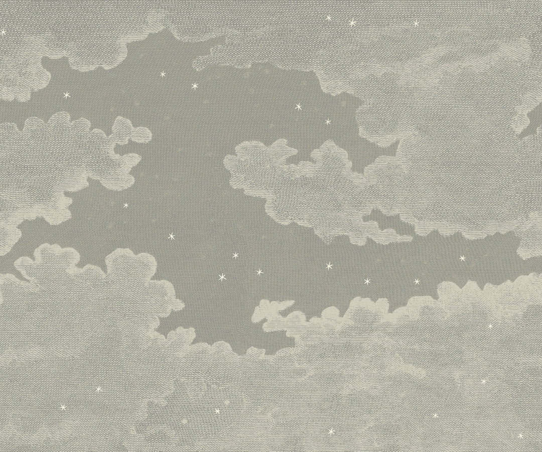 Starry Night Wall Mural - Raw Linen