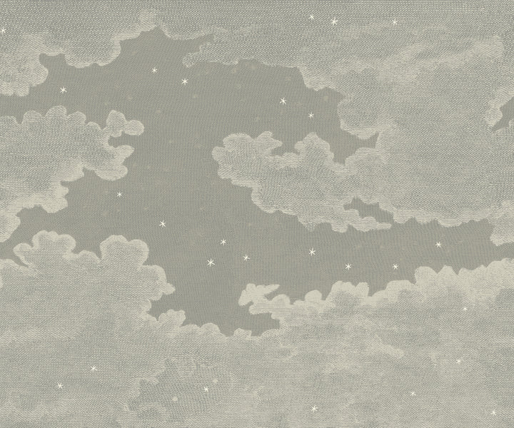 Starry Night Wall Mural - Raw Linen