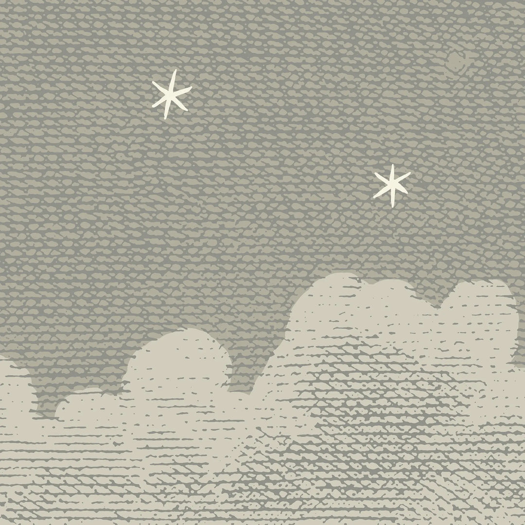 Starry Night Wall Mural - Raw Linen