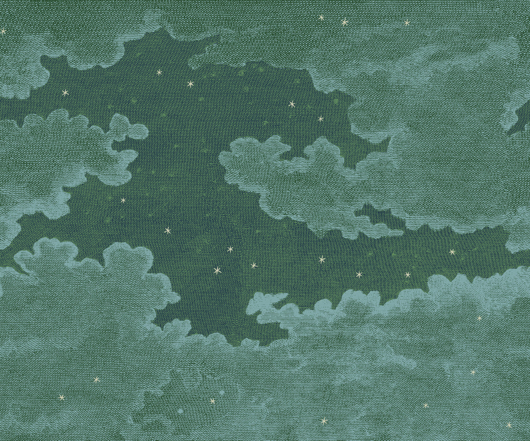 Starry Night Wall Mural - Story Book Green