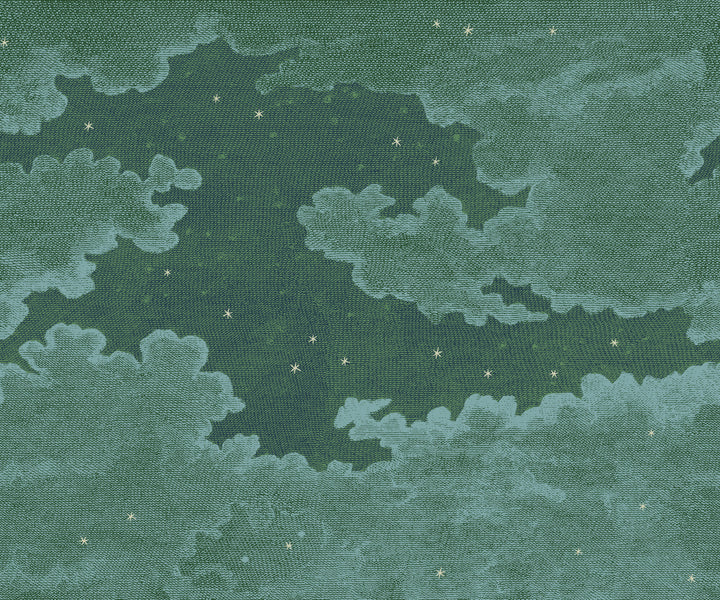 Starry Night Wall Mural - Story Book Green