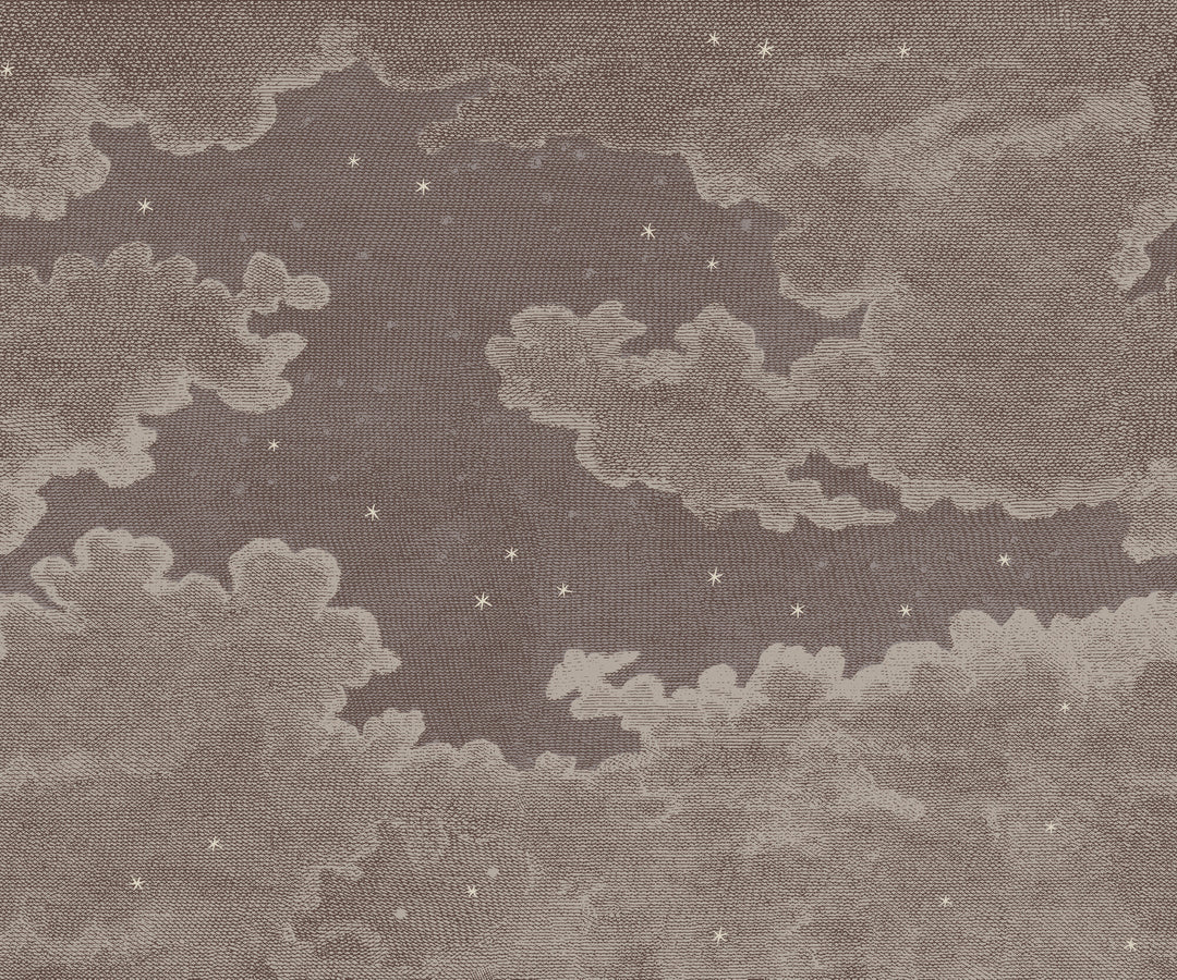 Starry Night Wall Mural - Tuscan Brown