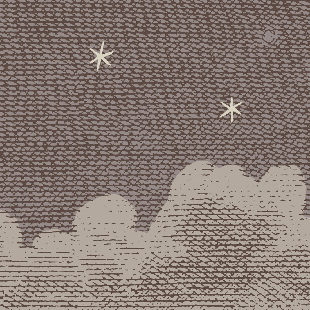 Starry Night Wall Mural - Tuscan Brown