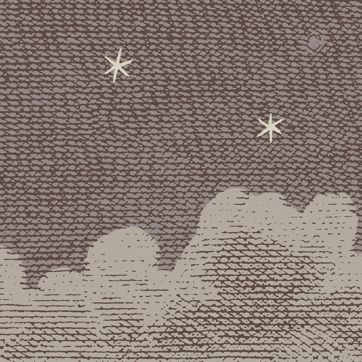 Starry Night Wall Mural - Tuscan Brown