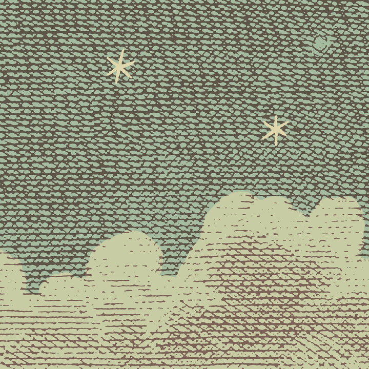 Starry Night Wall Mural - Vintage Tones
