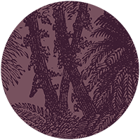 Tropical Canopy Wall Mural - Burgundy